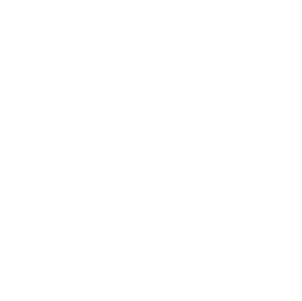 GDPR-LOGO-BIANCO